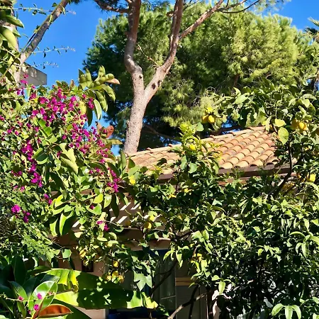 Sanremo, Relax Sul Mare Di Porto Sole, Tra Fiori E Profumi アパート サンレモ