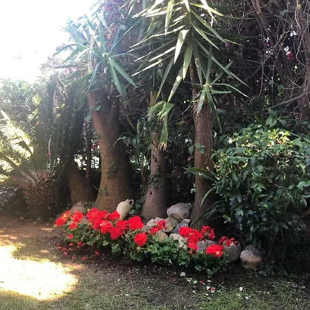Sanremo, Relax Sul Mare Di Porto Sole, Tra Fiori E Profumi *